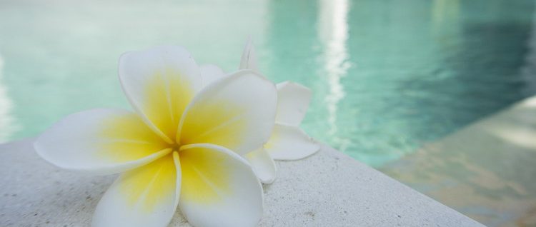 Erstaunliches über Sex!