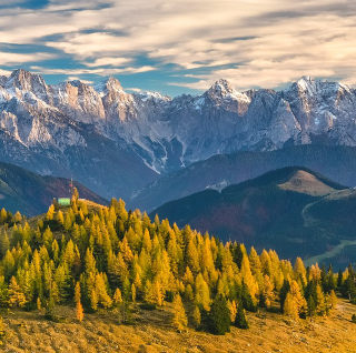 Rinsing – für besondere Online-Beziehungen zwischen jungen Damen und Sugar Daddys