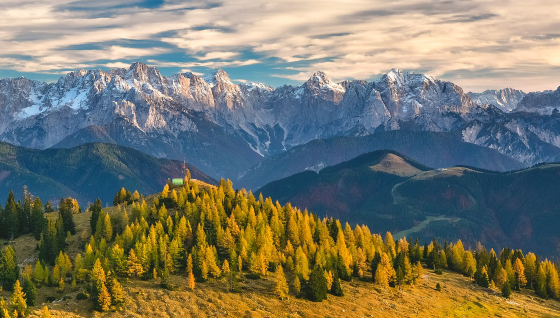 Wie finde ich einen Sugar Daddy in Österreich?